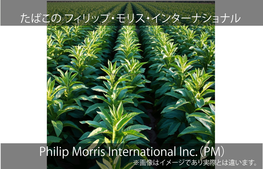 Philip Morris International Inc.　フィリップモリスインターナショナル（PM）